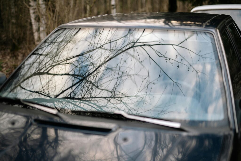 Close-up view of a car windshield reflecting tree branches in an outdoor setting.